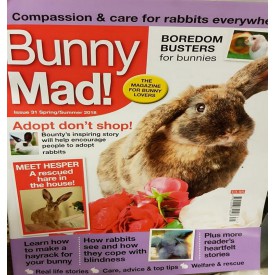 Product: ✓ Bunny Mad 31