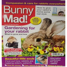 Product: ✓ Bunny Mad 23