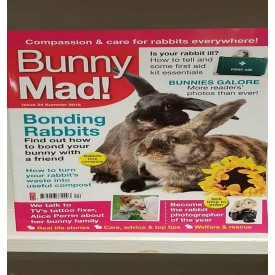 Product: ✓ Bunny Mad 24