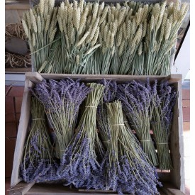 Product: ✓ Lavendel gedroogd xxl