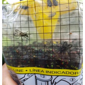 Product: ✓ Fly Trap