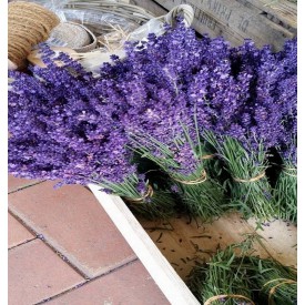 Product: ✓ Lavendel gedroogd