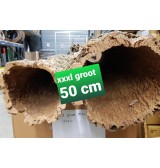 Product: XXL Boomstam - Actuele voorraad: 0