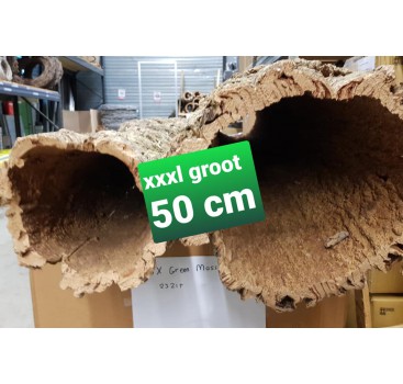 Product: XXL Boomstam