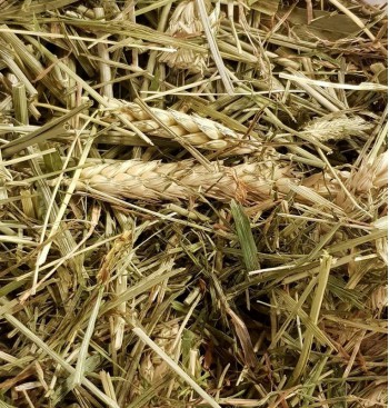 Product: Chanty gras mix 1 Product: Chanty gras mix 1
