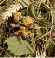 Product: Chanty gras gedroogd mix 2