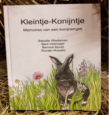 Product: Klein- Konijntje Boek