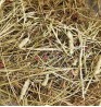 Product: .Timothy flower hay