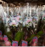 Product: Orchidee blauw rose