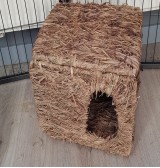 Product: Gras huis chantyplace - Actuele voorraad: 5