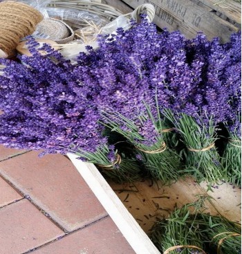 Product: Lavendel hele bos