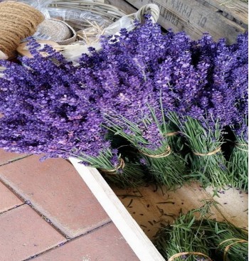 Product: Lavendel vers