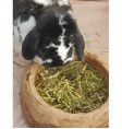 Product: .Bio konijnen pellets  - ChantyPlace.com