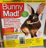 Product: Bunny Mad Magazine 28 - Actuele voorraad: 0