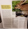 Product: Bunny Mad Magazine 28