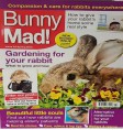 Product: Bunny mad 33 sore hocks - ChantyPlace.com