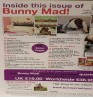 Product: Bunny Mad 23