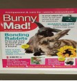 Product: Bunny Mad 32 - ChantyPlace.com