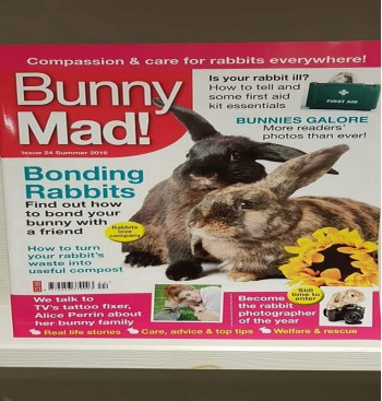 Product: Bunny Mad 24