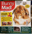 Product: Bunny Mad 32