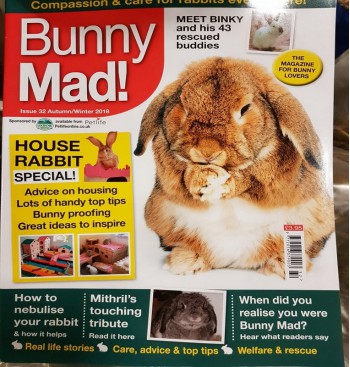 Product: Bunny Mad 32