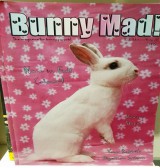Product: Bunny Mad 13 spijsvertering - Actuele voorraad: 3