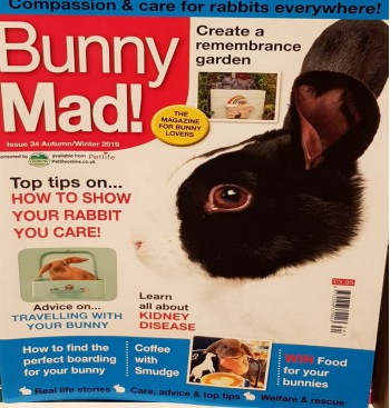 Product: Bunny Mad 34 nieren