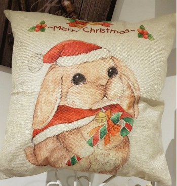 Product: Kerst kussen Product: Kerst kussen