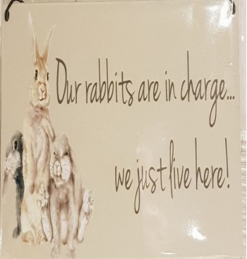 Product: Rabbits are in charge