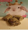 Product: .Bunny Happy Meal