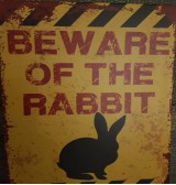 Product: Beware of  the Rabbit - Actuele voorraad: 6