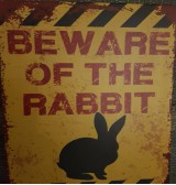 Product: Beware of Rabbit - Actuele voorraad: 6