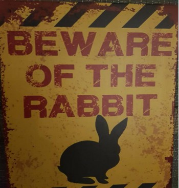 Product: Beware of Rabbit