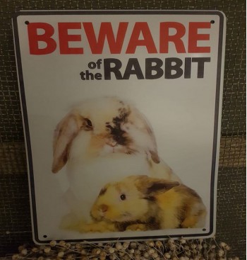 Product: Beware of Rabbit
