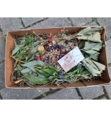 Product: Dierendag suprice box - Actuele voorraad: 98