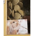 Product: Chanty cookie aardbei - ChantyPlace.com