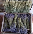 Product: lavendel bloemen  - ChantyPlace.com