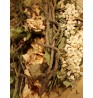 Product: Paardenbloem/appel mix