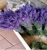 Product: Lavendel gedroogd - Actuele voorraad: 6