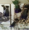 Product: Lavendel vers