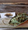 Product: Aardbei blad grof met stengel 25 gram