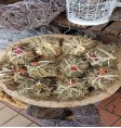 Product: .Timothy hooi Zweeds grof A - ChantyPlace.com
